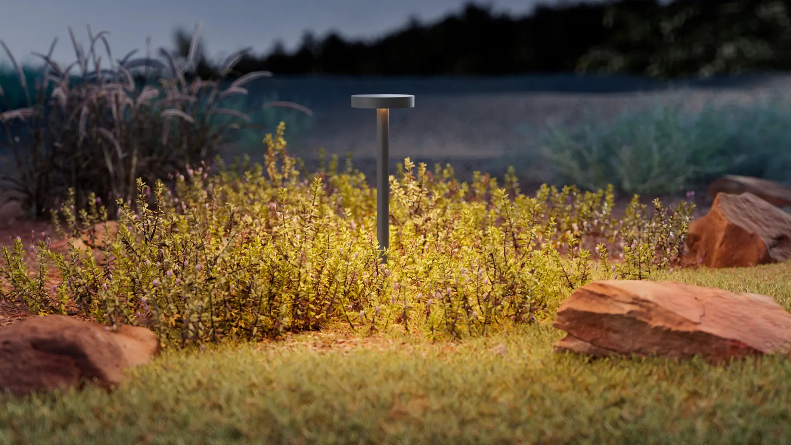 HK Radius path light among grasses at dusk